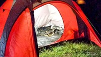 Camping Ground at Night