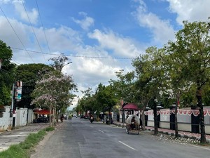 3,5 Tahun Menjabat, Achmad Fauzi Sulap Sumenep Jadi Kota Penuh Bunga