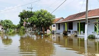 Sebanyak 200 KK di Dusun Banter dan 100 KK di Dusun Krajan Barat. Ketinggian banjir mencapai 80 cm dampak luapan air Sungai Banter.