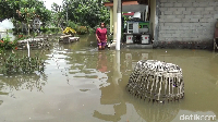 Banjir juga mengakibatkan sumur warga tercemar. Aktifitas warga juga terganggu akibat banjir ini.