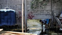Banjir rob tersebut mulai naik sejak pukul 11.00 WIB dengan ketinggian air rata rata sebetis orang dewasa dan maksimal bisa sepinggang.  