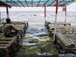 Video: Berkah di Tengah Banjir, Warga Semper Barat Jakut Berburu Ikan