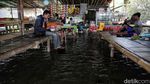 Banjir Rob Rendam Pantai Marunda Jakarta