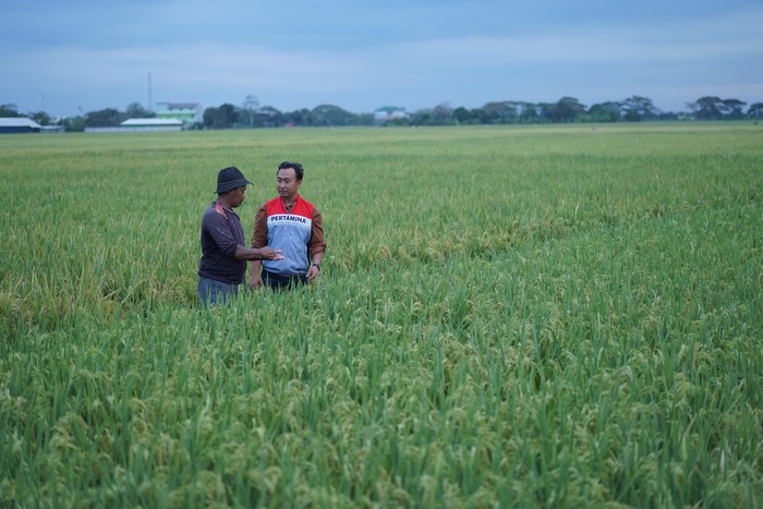 Desa Energi Berdikari di Indramayu Wujudkan Ketahanan Pangan & Energi