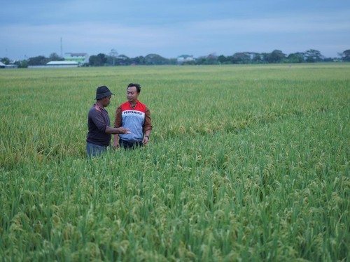 Desa Energi Berdikari di Indramayu Wujudkan Ketahanan Pangan & Energi