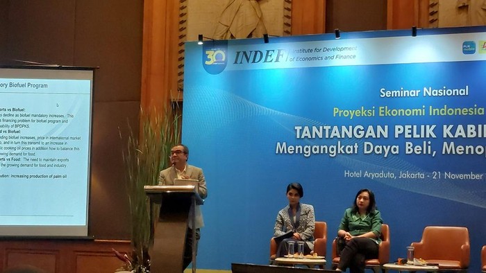 Ekonom Senior Institute for Development of Economics and Finance (INDEF) Fadhil Hasan.