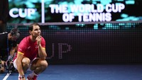 Nadal memulai karier profesional pada 2001 mendapat julukan Big Three bersama Roger Federer dan Novak Djokovic.