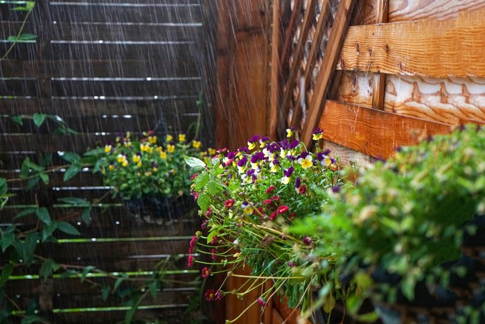 This is rain with splashing water droplets photographed in spring in Germany