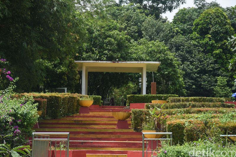 Kebun Raya Cibinong di Bogor menyajikan pesona alam yang memukau. Ayo jelajahi danau cantik dangan suasana yang menenangkan, Kamis (21/11/2024).