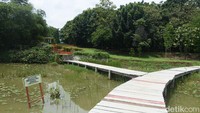 Terdapat berbagai jenis danau, seperti Danau Dora yang dihiasi tanaman air tetepok, serta Danau Walini yang menampung air dari 23 titik mata air alami. 