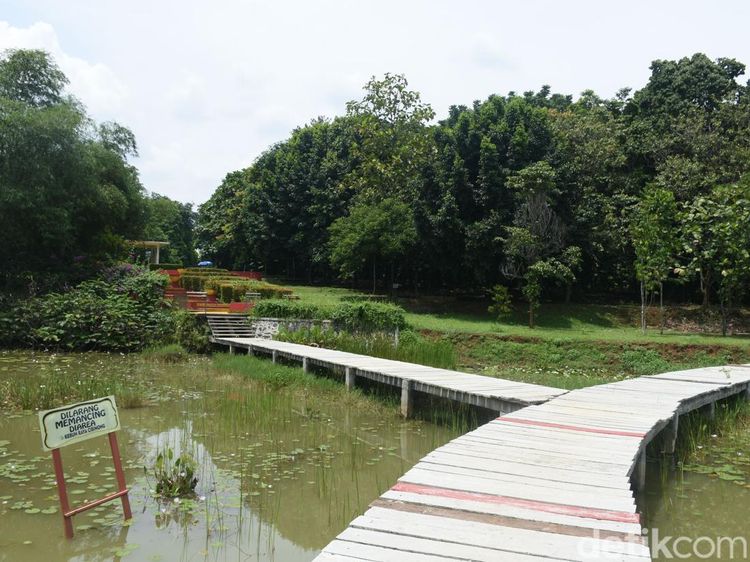 Intip Keindahan Tersembunyi di Kebun Raya Cibinong