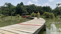 Pengunjung berjalan di jembatan kayu yang membentang di atas Danau Dora, Kebun Raya Cibinong.