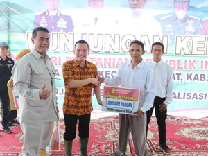 Komisi IV DPR Sebut Mentan Amran Kunci di Balik Kebangkitan Jeruk Sambas
