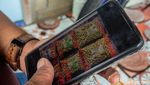 Kerupuk Atom Si Bolang Oleh-oleh Anambas Dipasarkan Lewat Internet