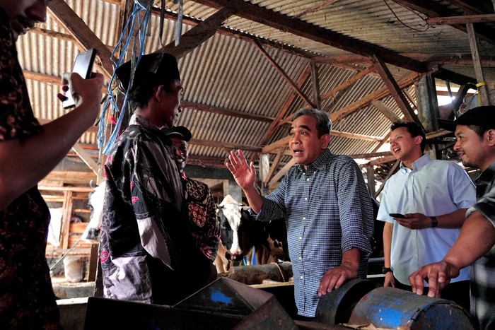 Ketua MPR Terima Keluhan Peternak Sapi soal Harga Susu Terlalu Rendah