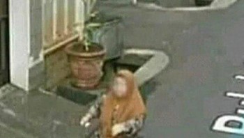 Ibunya mungkin sedang joget pica-pica...Foto: X