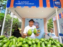 Petani di Semarang Panen Alpukat 2 Ton/Hari, Ini Rahasianya