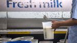 Melihat Kebutuhan Susu Nasional