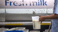 Sementara itu produksi susu nasional sekitar 1 juta ton atau hanya memenuhi 21 persen dari kebutuhan.  