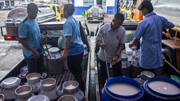 Pekerja memeriksa kualitas sampel susu sapi segar di Koperasi Peternak Sapi Bandung Utara (KPSBU) Lembang, Kabupaten Bandung Barat, Jawa Barat, Kamis (21/11/2024). Berdasarkan data dari Kementerian Pertanian kebutuhan susu nasional mencapai 4,7 juta ton per tahun, sementara produksi nasional hanya sekitar 1 juta ton atau hanya memenuhi 21 persen dari kebutuhan nasional. ANTARA FOTO/Abdan Syakura/agr/foc.