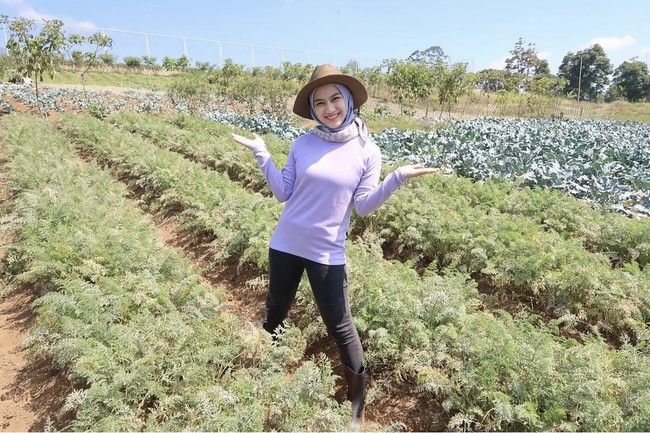 Tampil dengan busana berwarna cerah membuat Melody semakin terlihat fresh. Ia tampak memadukan kaos lengan panjang ungunya dengan hijab senada dan celana panjang hitam. Foto: Instagram/@melodylaksani92