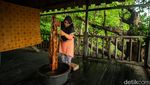 Mengenal Batik Mangrove Genting Pulur