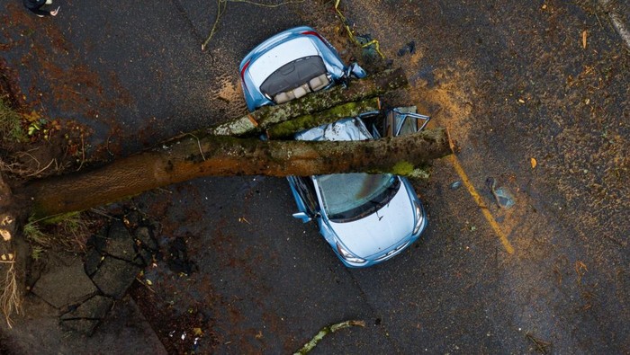 Mobil-mobil di Seattle Ini Ringsek Tertimpa Pohon A fallen tree sits atop a car after a powerful storm hit the U.S. Pacific Northwest and western Canada, causing power outages in Washington, Oregon, California, and British Columbia while wreaking havoc on road travel, in Seattle, Washington, U.S., November 20, 2024. REUTERS/David Ryder TPX IMAGES OF THE DAY