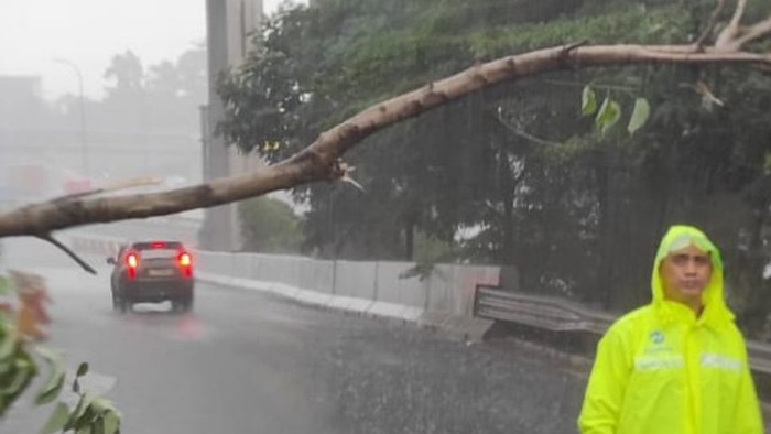 Pohon tumbang menjelang Gerbang Tol Cibubur, Jakarta Timur, Kamis (20/11/2024) sekita rpukul 14.39 WIB.