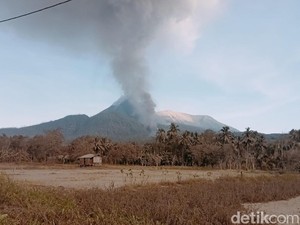 869 Hektare Perkebunan Warga di Lereng Gunung Lewotobi Rusak