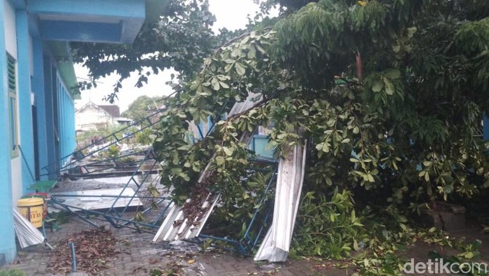 Salah satu sekolah di Klaten terkena pohon tumbang akibat hujan angin sore ini, Kamis (21/11/2024).