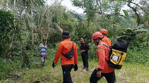 Tim SAR gabungan mencari warga Banjar Dinas Munduk Ngandang, Desa Belatungan, Kecamatan Pupuan, Tabanan, yang hilang. (Dok. Basarnas Bali)