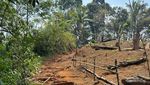 Pesona Baduy Luar & Baduy Dalam yang Menyimpan Segudang Rahasia