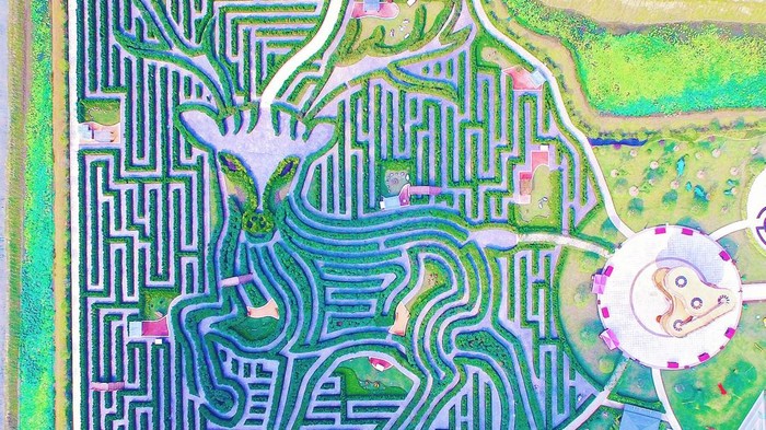 Yancheng Dafeng Dream Maze