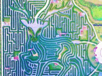 Ada Labirin Raksasa di China, Lengah Dikit Bisa Nyasar Berjam-jam