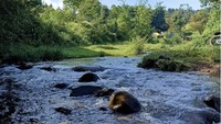 Aliran sungai di Bumi Perkemahan Rancacangkuang.