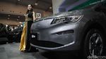 Dibanderol Rp 400 Jutaan, Ini Aletra L8 EV yang Jadi Penantang BYD M6