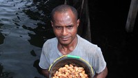 Festival ulat sagu bertujuan untuk memanfaatkan sagu sebagai bahan pangan kuliner dan menjadi tarik eko wisata di Kampung tersebut.