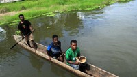 Seorang warga menunjukan ulat sagu di atas perahu saat festival ulat sagu di Kampung Yoboi, Distrik Sentani, Kabupaten Jayapura, Papua, Kamis (21/11/2024).