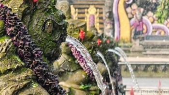 Mengabadikan Ubud Water Palace.  Foto: Adi Fida Rahman/detikINET