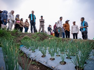 Pemkab Malang Terima Hibah Rp 39 M untuk Bantu Petani Bawang Merah