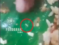 Warung di Belu Digeruduk Warga gegara Nasi Bungkus Isi Belatung