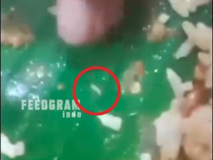 Warung di Belu Digeruduk Warga gegara Nasi Bungkus Isi Belatung