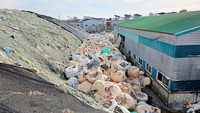 Di tempat daur ulang plastik yang ditutup di Asan, sekitar 85 km (53 mil) selatan Seoul, tumpukan sekitar 19.000 ton limbah plastik yang digiling halus ditumpuk tanpa diolah. Tumpukan sampah itu pun mengeluarkan bau yang menyengat.  