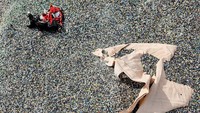 Sedangkan Greenpeace memperkirakan Korea Selatan hanya mendaur ulang 27% dari total sampah plastiknya. Kementerian lingkungan hidup mengatakan definisi limbah, metode daur ulang, dan perhitungan statistik bervariasi dari satu negara ke negara lain, sehingga sulit untuk mengevaluasinya secara seragam.  