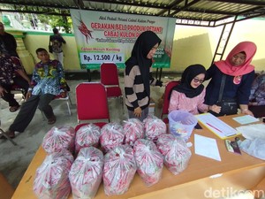 Bantu Petani, PNS Kulon Progo Borong Cabai dengan Harga Ideal