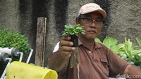 Teknik hidroponik diyakini sebagai penopang pertanian masa depan dan telah dikembangkan secara maju di sejumlah negara.