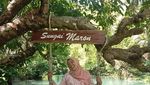 Bukan Sungai Amazon, Ini Sungai Maron dari Pacitan