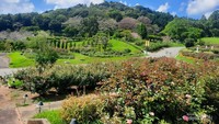 Pemandangan di Ibaraki Flower Park