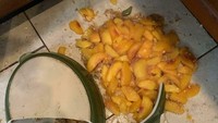 Wanita ini masak pie buah untuk orangtuanya, sayangnya piringnya terjatuh dan membuat pie buatannya tidak bisa diselamatkan. Foto: Site News