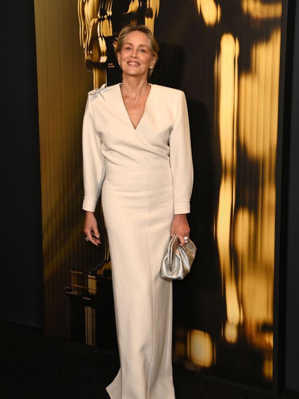 HOLLYWOOD, CALIFORNIA - NOVEMBER 17: Sharon Stone attends the 2024 Governors Awards at Dolby Theatre on November 17, 2024 in Hollywood, California.  (Photo by Jon Kopaloff/Getty Images)
